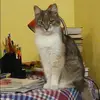 Отзыв от Катюша Кузьмина